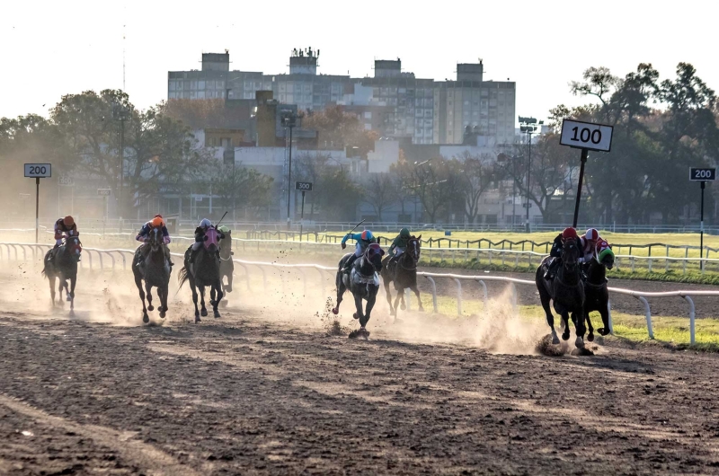 Reunión N°11/2025 
